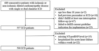 N-Terminal Pro-B-Type Natriuretic Peptide in Risk Stratification of Heart Failure Patients With Implantable Cardioverter-Defibrillator